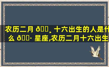 农历二月 🌸 十六出生的人是什么 🌷 星座,农历二月十六出生的人是什么星座的人